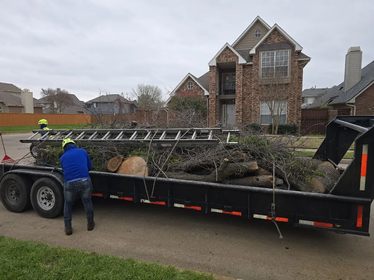Expert Lot Clearing with proper safety equipment in Whittier